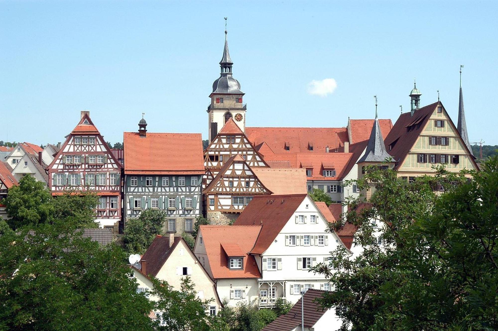1Br 2Beds - Kleiner Privater Innenhof- Barrierefrei! -Frisch Saniert - Mozart Eins Bietigheim-Bissingen Esterno foto